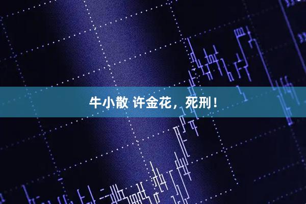 牛小散 许金花，死刑！