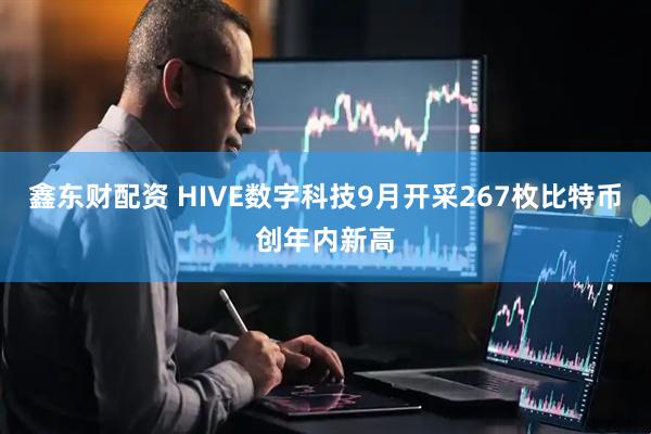 鑫东财配资 HIVE数字科技9月开采267枚比特币创年内新高