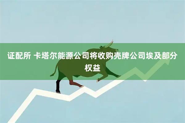 证配所 卡塔尔能源公司将收购壳牌公司埃及部分权益