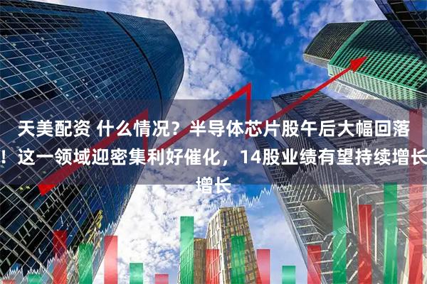 天美配资 什么情况？半导体芯片股午后大幅回落！这一领域迎密集利好催化，14股业绩有望持续增长