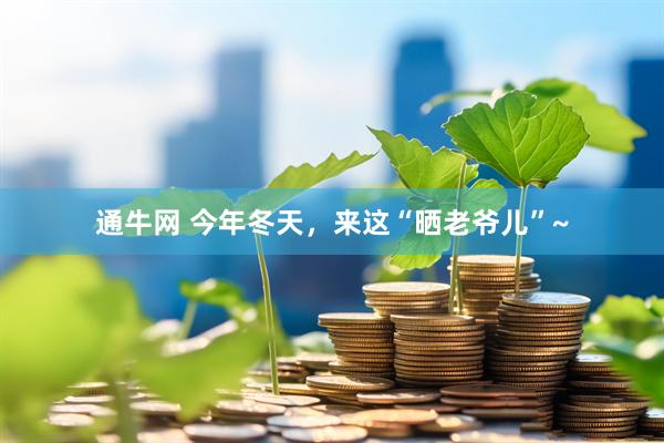 通牛网 今年冬天，来这“晒老爷儿”~