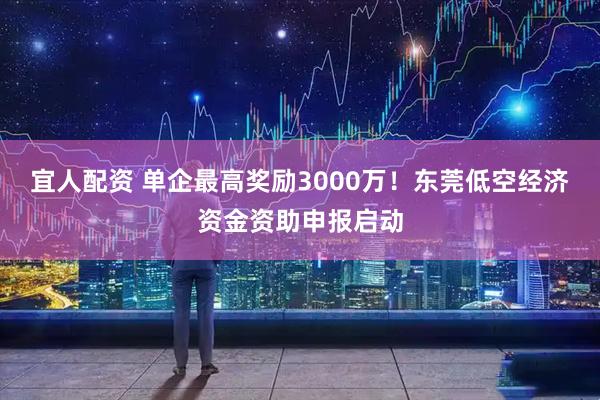 宜人配资 单企最高奖励3000万！东莞低空经济资金资助申报启动