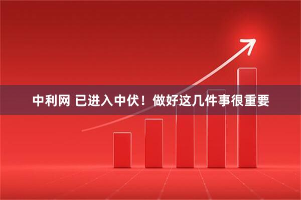 中利网 已进入中伏！做好这几件事很重要